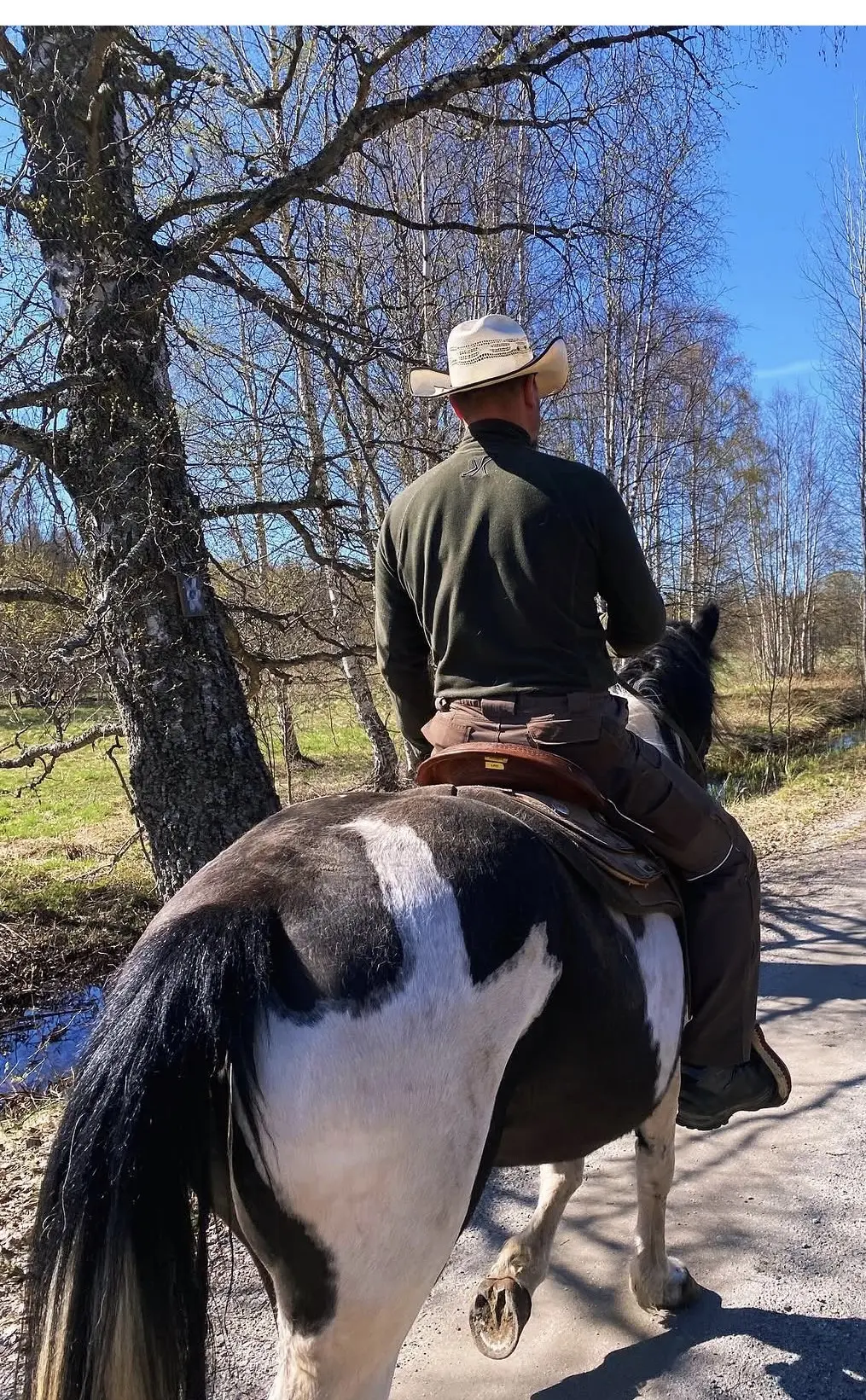 Matthias Greye rider en häst ute i naturen